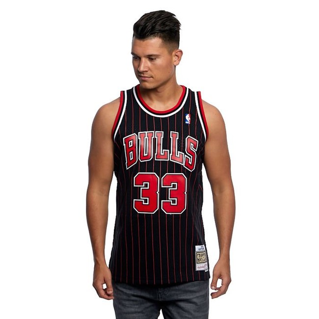 pippen mitchell ness