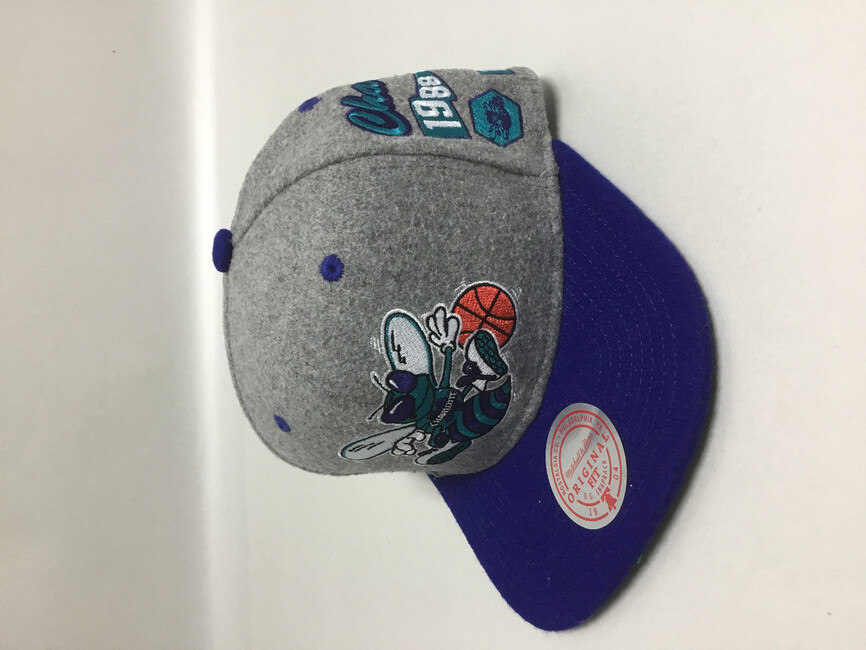 hornets mitchell and ness